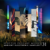31 - Free Ambient Electronic Sampler