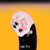 MEOW - SINGLE