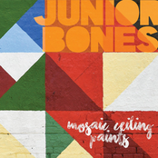 Mosaic Ceiling Paints