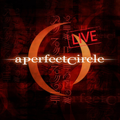 Ashes To Ashes (live)