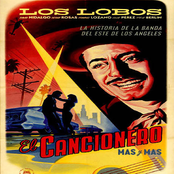 Alone In A Crowd by Los Lobos