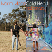 Warm Wood, Cold Heart - Single