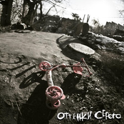 Оттенки Серого