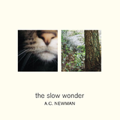 The Slow Wonder Album Picture