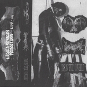 Anal Birth / K9 Hemorrhoids / Jason "Evil" Covelli