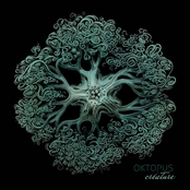 Oktopus: Créature