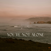 You're Not Alone - Single