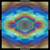 Goniochroma