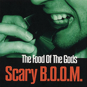 The Opposite Effect by Scary B.o.o.m.