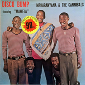 Disco Bump
