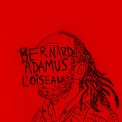 Bernard Adamus: L'oiseau