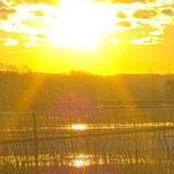 Невежество