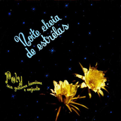 Noite Cheia de Estrelas