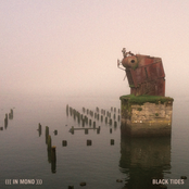 Black Tides