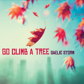 Go Climb a Tree Album Picture