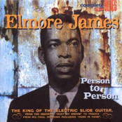 My Kind Of Woman by Elmore James