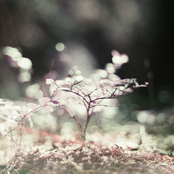 A Bittersweet Goodbye