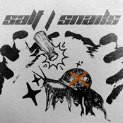 SALT / SNAILS