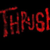 Thrushband