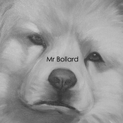 Mr Bollard's In The Building