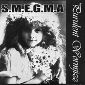 S.M.E.G.M.A. / Vaginassassin