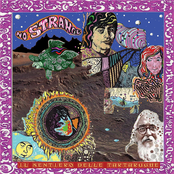 Il sentiero delle tartarughe