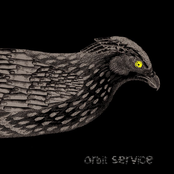 Sparrows by Orbit Service