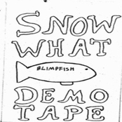 Demo Tape