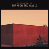 Through the Walls