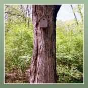 Smushie: Kathy and Paul