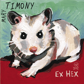 9x3 by Mary Timony