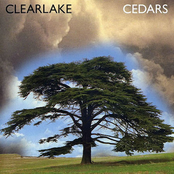 Cedars