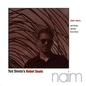Voids by Ted Sirota's Rebel Souls
