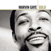 marvin gaye's greatest hits