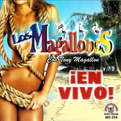 En Vivo