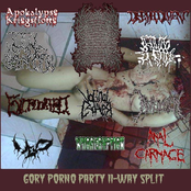 gory porno party 11-way split