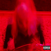 iwroteuthis - Single