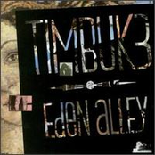 Easy by Timbuk 3