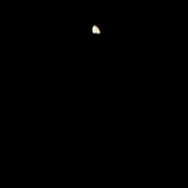 i still don't have any feelings