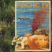 Untitled by Psychic Tv