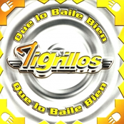 Los Tigrillos: Que lo baile bien