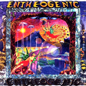 Earth Song by Entheogenic