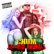 Stoopid Animals