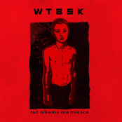 Tut Nikomu Nie Mesca