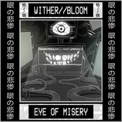 Eye of Misery