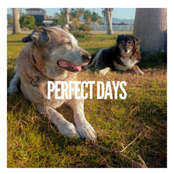 Perfect Days