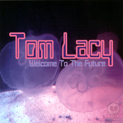 tom lacy