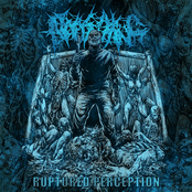 Ruptured Perception