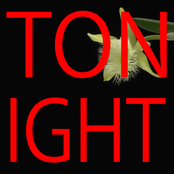 TONIGHT
