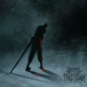 In The Company Of Wolves